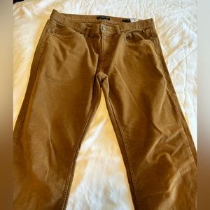 Banana Republic Traveler pants (33x30)